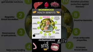 Wormwood Health Benefits [upl. by Combs696]