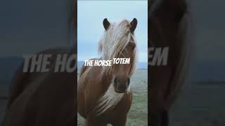 HORSE TOTEM MEANING [upl. by Ignatzia]