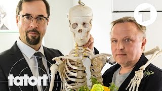 Trailer quotFeierstundequot  Der neue Tatort aus Münster  Tatort [upl. by Botsford]