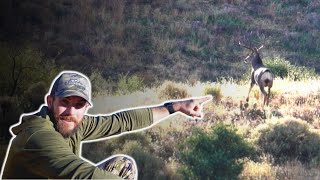 Chasing Arizona’s GIANT Muleys [upl. by Neeven]