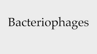 How to Pronounce Bacteriophages [upl. by Mendelson27]