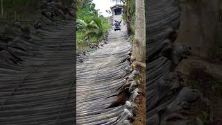 Palwa rides new bataan davao de oro trending viralvideo [upl. by Rats]