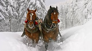 Celtic Christmas Carols Soft Holiday Christmas Music quotWinter Sleigh Ridequot Open Road Folk Music [upl. by Fayina938]