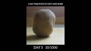 Can this potato get 1000 subs day 3 101000potatoteampotatopotatosquad [upl. by Cinnamon]