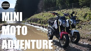 Honda Grom Off Road Adventure  Honda MSX125 [upl. by Namaan]