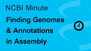 The NCBI Minute Finding Genomes and Annotations in Assembly [upl. by Rutledge]