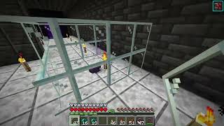 Endermite guide how to get your own permanent pet endermite  Minecraft 121 [upl. by Laurence678]