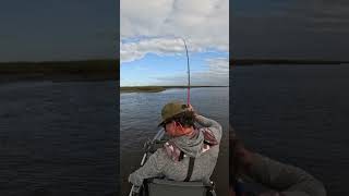 Caught a BIG fish on bonafidefish XTR 130 fishing kayakfishing shorts fish kayak [upl. by Orian494]