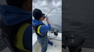 Jigging for rockfish is so much fun fishing rockfish seafishing oceanfishing [upl. by Yxor]