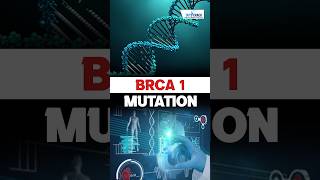 What is a BRCA Gene Mutation 🤔 ndascience sciencebyswatimam [upl. by Aerbua]