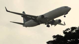 WestJet Airlines Boing 737800 CGWSX landing in LAX [upl. by Chladek]