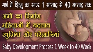 Baby Development in Womb Week By Week and Month By Month Video [upl. by Sessylu]