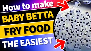 How to make Baby Betta Fry Food The Easiest bettafryfood babybettas bettabreedingtipsbettafish [upl. by Quincey125]