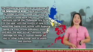 GRADE 5 SCIENCE Q4 W5  DESCRIBE THE EFFECTS OF TYPHOON ON OTHER LIVING THINGS SUCH AS ANIMALS [upl. by Nahoj]