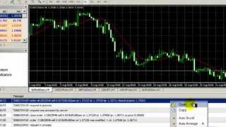 Metatrader 4 Tutorial by IamFX  Journal amp Experts [upl. by Tessa]