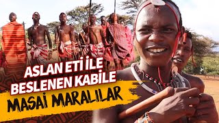 Aslan Eti İle Beslenen Kabile Masai Maralılar [upl. by Merchant609]