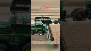 Wheat Harvesting Breakthrough With Modern Machinery agriculture technology shorts [upl. by Ladnor]