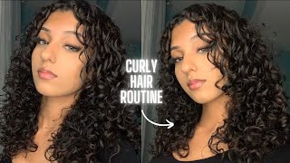 MY CURLY HAIR ROUTINE 2022  In Depth Tutorial for Beginners [upl. by Hourigan833]