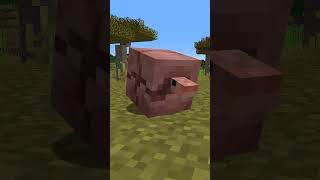 🌟 GÜRTELTIER XP FARM minecraft minecraftshorts minecrafttutorial [upl. by Xam]