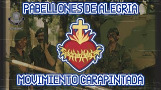 Pabellones de Alegria Cancion Nacionalista Argentina Carapintada [upl. by Girish]