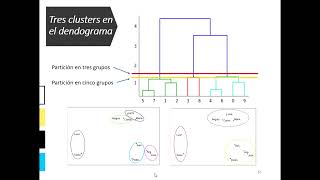 Interpretación del Dendrograma shorts [upl. by Pascha]