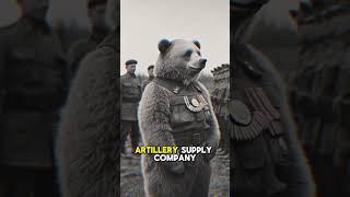 Wojtek The Bear Who Fought in World War II 🐻💥 history facts wojtekbear shorts short viral [upl. by Odlanar]