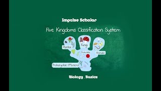 5 Kingdoms Classification II Biology Basics [upl. by Enomahs]