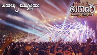 Nethu Saluna නෙතු සැලුනා  Romesh Sugathapala Lve Ahankara Nagare අහංකාර න⁣ගරේ [upl. by Bethesda]