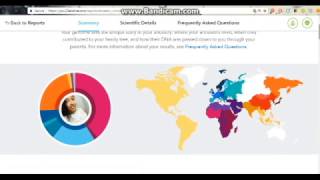 23andMe Mixed Results Part 2 Haplogroups Wellness Traits and more [upl. by Ataga]