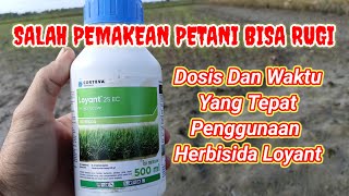 herbisida loyant ampuh berantas semua jenis rumput [upl. by Zalucki]