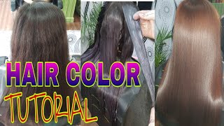 HAIR COLOR TUTORIAL FOR BEGGINERS [upl. by Annatnas]