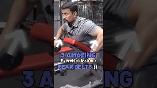 3 Amazing Exercises for Your Rear Delts  shorts [upl. by Attayek75]