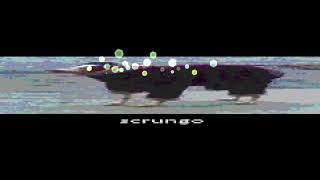 scrungo [upl. by Sidwell]