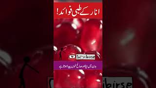 Anar ke fayde in urdu  Anar ka juice  Anar ka chilka  Pomegranate health benefits in urdu hindi [upl. by Tisha]