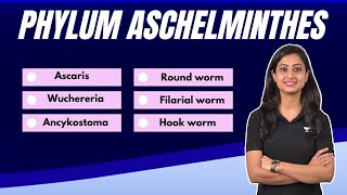 Phylum Aschelminthes  All examples  Learn in no time  Flash Learn [upl. by Stutzman]