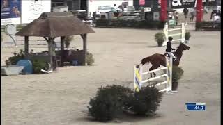 241026 RUBEL second round Belgium Championchip 24 [upl. by Marlea91]