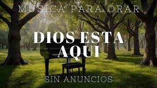 Descanso después de un día agitado  1 Hora de Música Cristiana para Orar [upl. by Aiouqahs434]