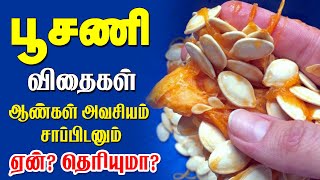 Munthiri palam in tamil I munthiri palam benefits I முந்திரி பழம் I முந்திரி பழம் நன்மைகள் [upl. by Alinna18]