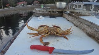 Quatsino Sound Salmon Fishing amp Crabbing Day 2  British Columbia [upl. by Ashling755]