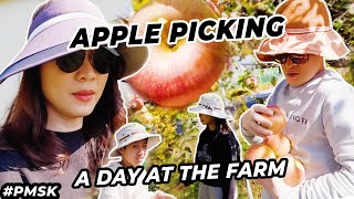 WORKING AT THE FARM IN KOREA  APPLE PICKING IN AUTUMN  OUR FAMILYS YEARLY TRADITION  pmsk [upl. by Llovera660]