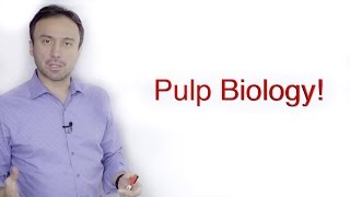 Pulp Biology A Basic Crash Course [upl. by Hidie836]