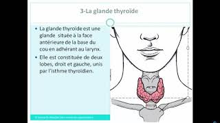 Cours de médecine  L’APPAREIL ENDOCRINIEN [upl. by Marjy]