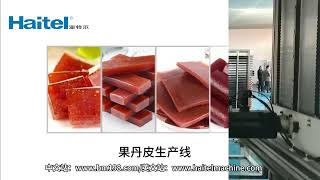 Fruit roll fruit leather forming machine for hawthorn apple peach fruit [upl. by Augie]