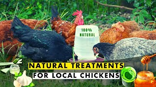 NATURAL TREATMENTS FOR NEWCASTLE COCCIDIOSIS CORYZA CRD amp WORMS IN LOCALFREE RANGE CHICKENS [upl. by Howlan]