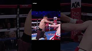 Breakdown of Canelos Devastating Knockout of Amir Khan in Boxing Fight [upl. by Ailefo893]