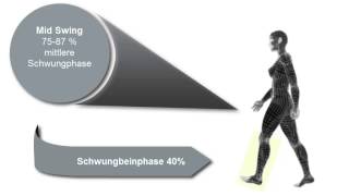 Ganganalyse im Ganglabor  Gangphasen Beschreibung für die Ganginspektion [upl. by Mharg]