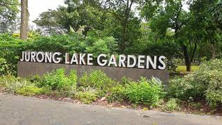 jurong lake garden [upl. by Atews975]