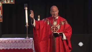 Fr Dave Pivonka TOR  Sunday Morning Homily 2022 Power and Purpose Conference [upl. by Akili758]