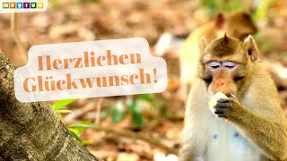 Herzlichen Glückwunsch zum Geburtstag 🎂  Tierische Geburtstagsgrüße für dich 🎵 [upl. by Ebaj]