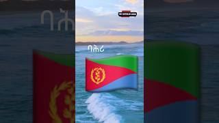 The Eritrean Show 🇪🇷1 eritrea eritrean eritreanshorts eritreantiktok eritreanmusic habesha [upl. by Chil392]